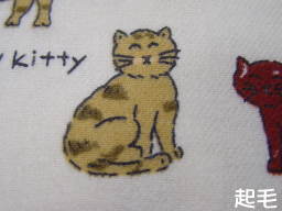 起毛加工